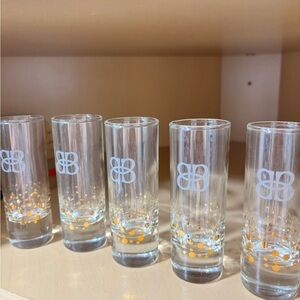 Baileys Irish Cream Shot Glasses -Set of 5